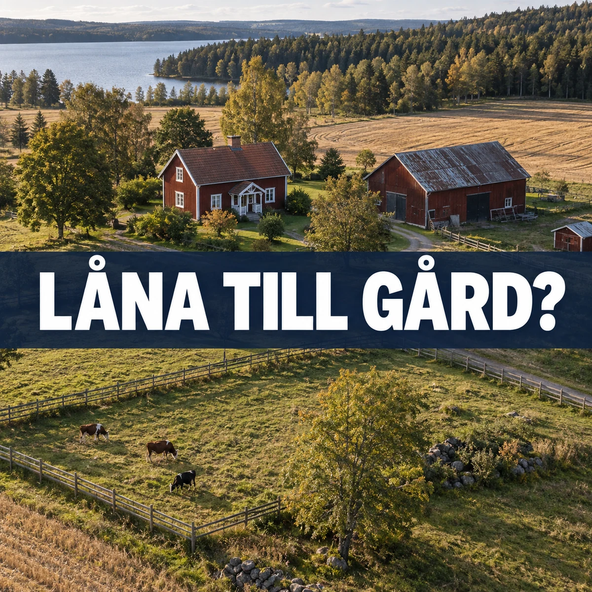 Flygvy över rött boningshus, ladugård och inhägnad betesmark vid skog under texten Låna till gård?